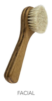 Dry Brushes