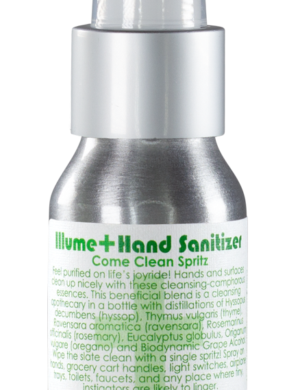 sanitizer-spritz-bottle_2.png